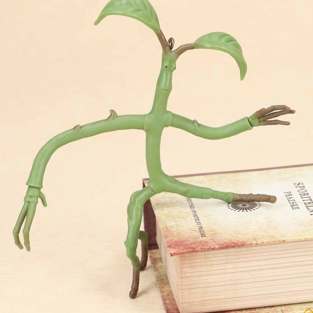 image_ED05FB0E-9C49-4387-9893-23A469CE6046_1764339824