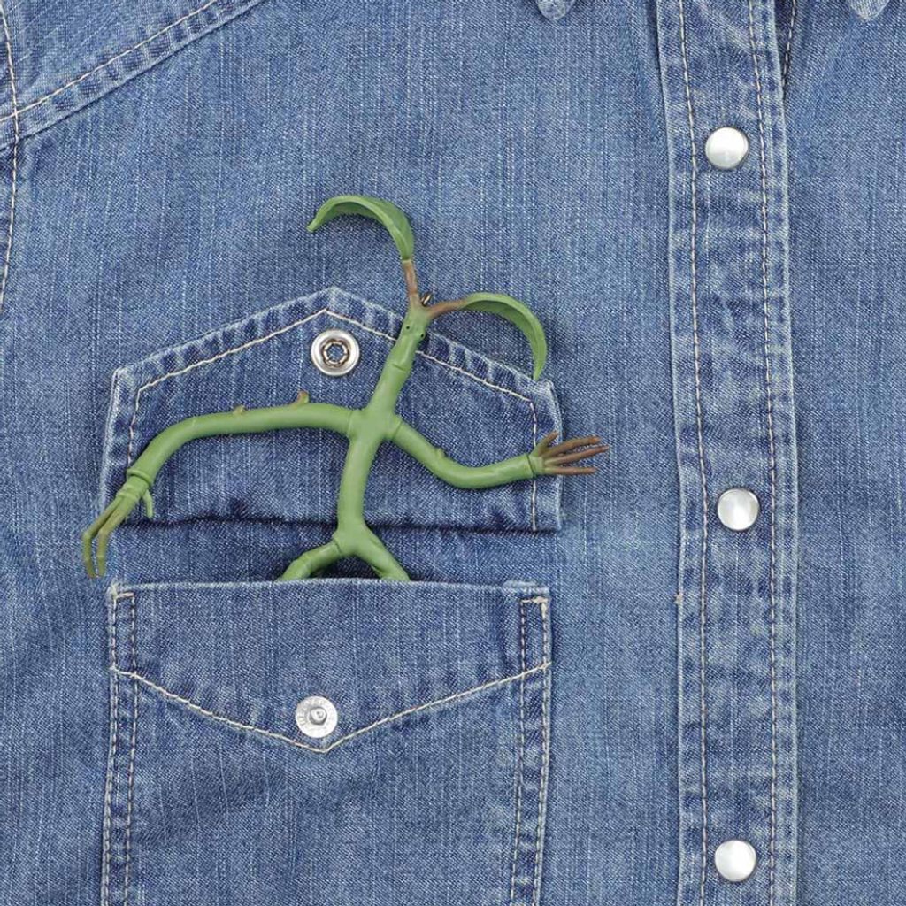 image_FD98C3DB-D791-4EB7-9717-4A03D6B49517_1764339824