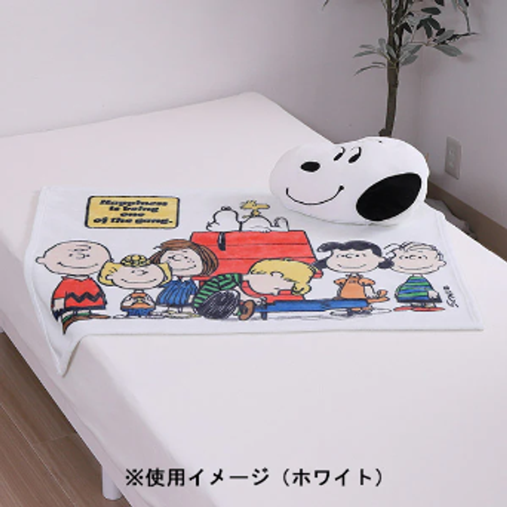 image_9C083757-A85B-4D4A-BC01-069F0B528340_1764490662