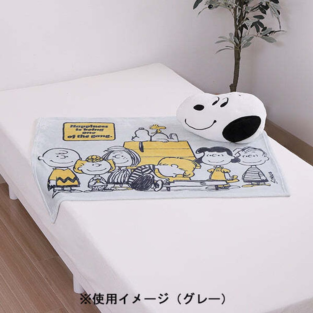 image_CF8B1B73-1146-4AB2-8B05-2341CD898BE5_1764490662