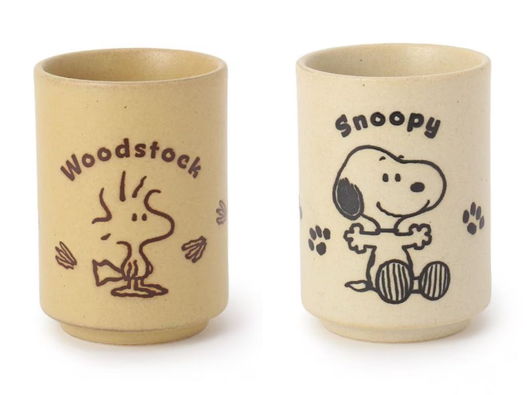 image_27237EFF-AA96-4F4D-8593-EAD24A67E058_1764586903