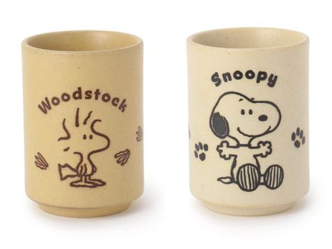 image_27237EFF-AA96-4F4D-8593-EAD24A67E058_1764586903