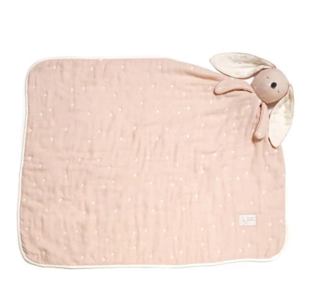 image_12DB22F9-0131-4A30-B6F3-CFDFFBBC2688_1764848670