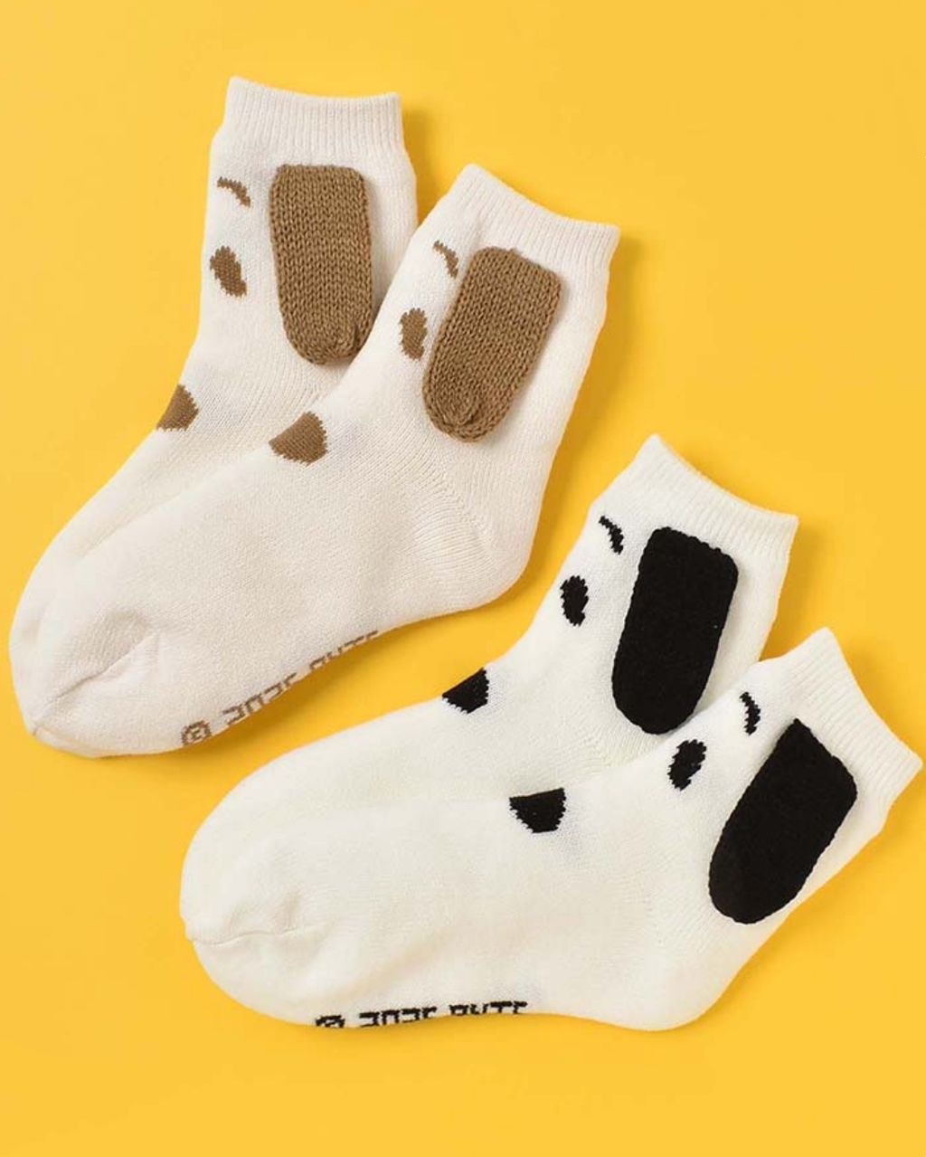 image_EE61A1D1-7D76-4F00-84C0-076E372F92C9_1765533922