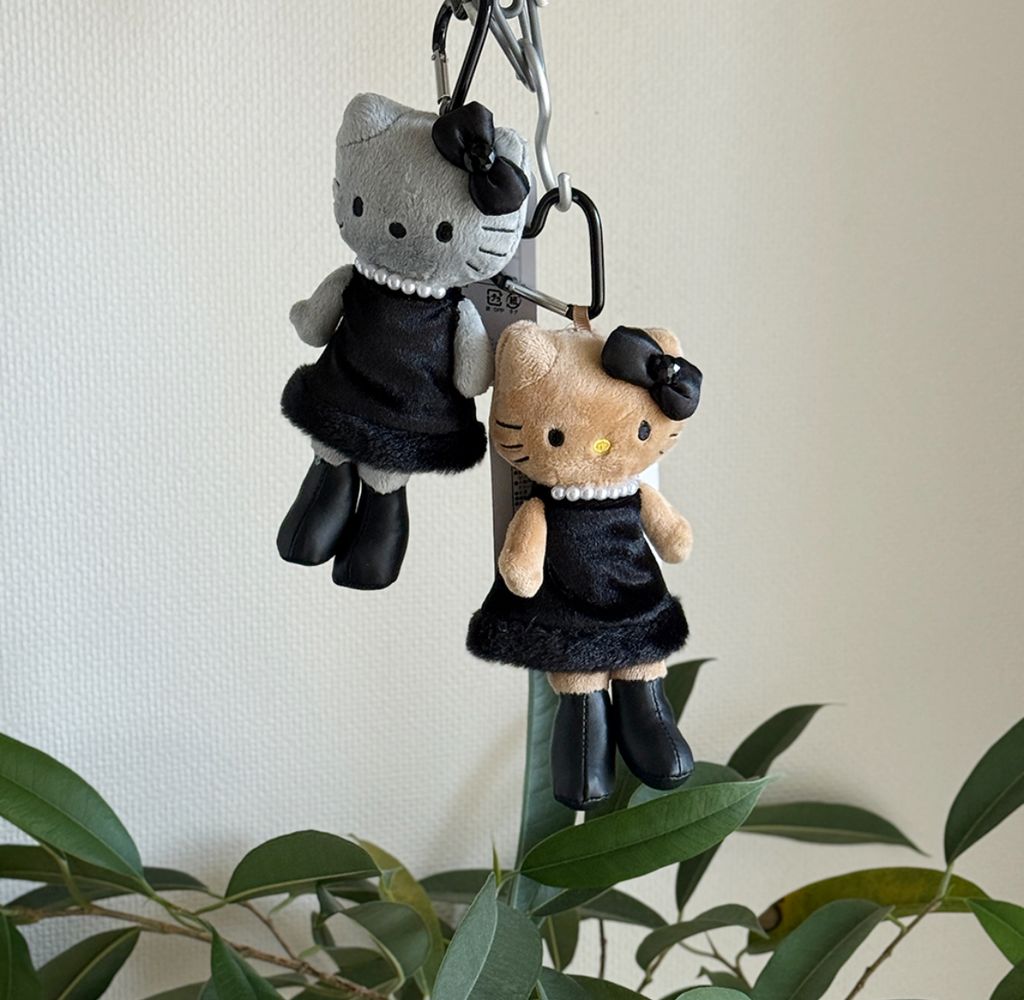 image_99D08DD2-B578-41CA-A937-BBE50E91208A_1765955485