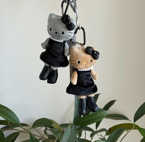 image_99D08DD2-B578-41CA-A937-BBE50E91208A_1765955485