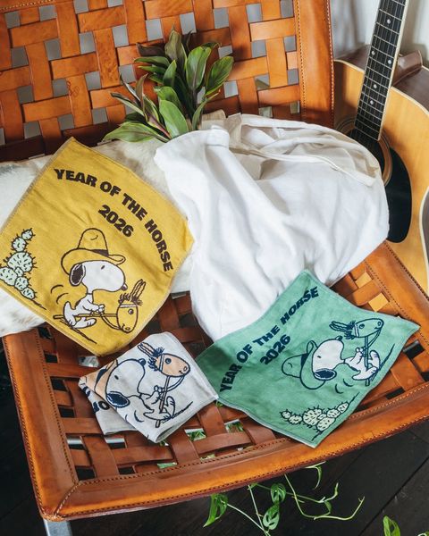 image_7695CBBB-5B52-48EC-A473-E1F68025696A_1766745185