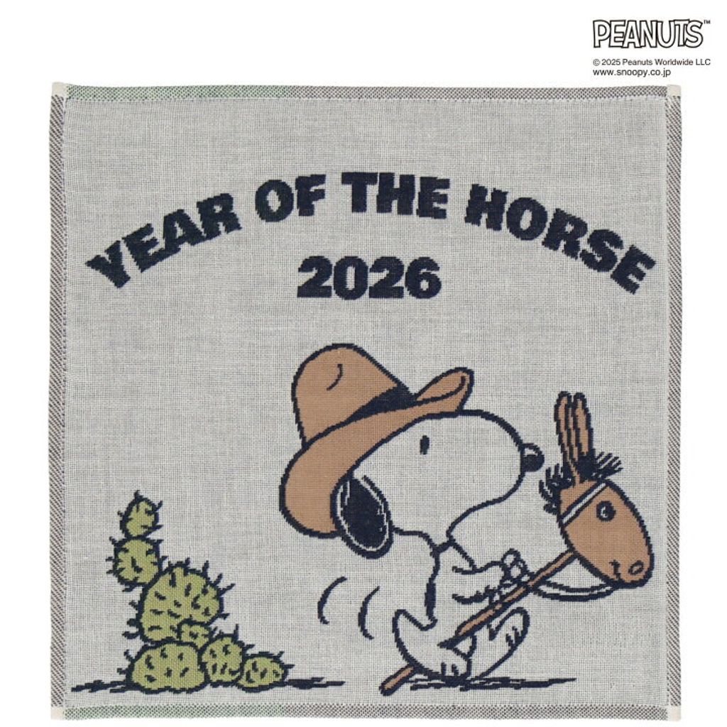 image_5BCABFAF-CEED-425C-96F4-5F456340A98B_1766745185