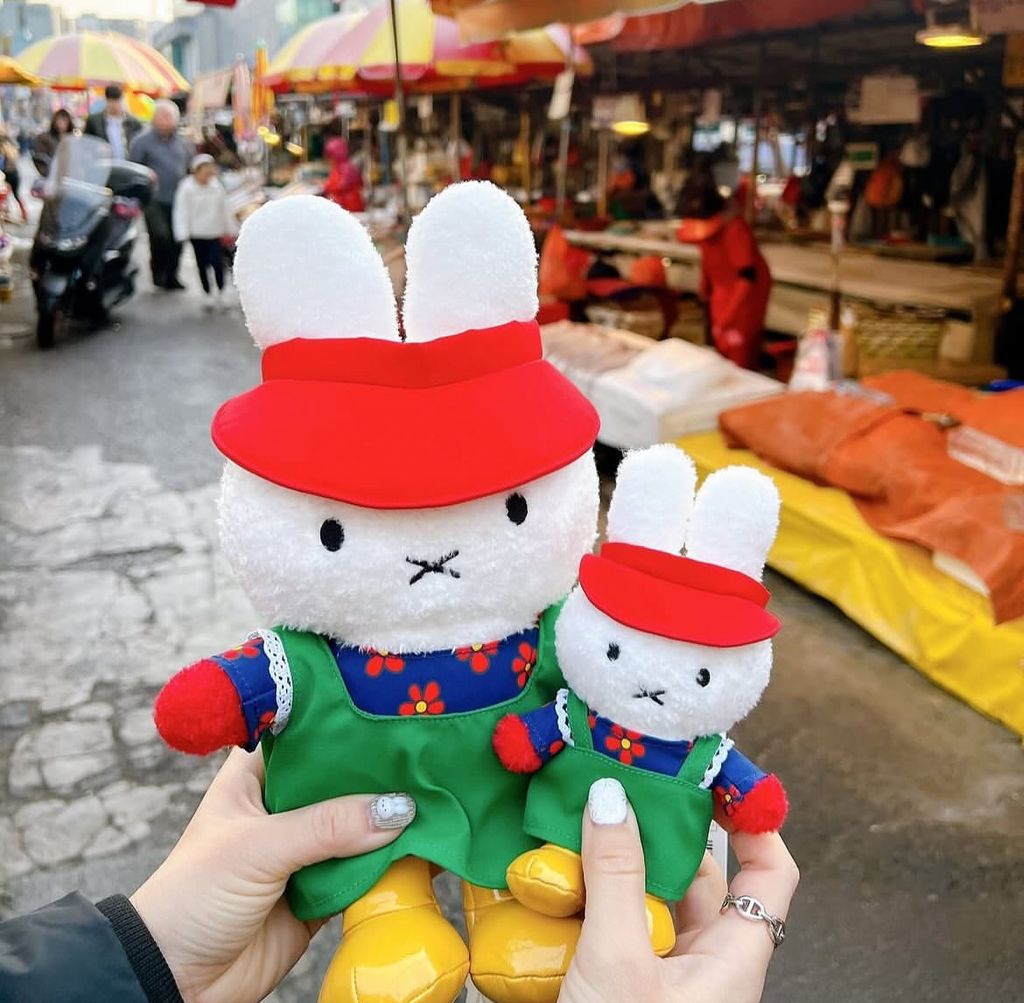 image_19FCD201-6B86-4072-8E0D-7EC95CBA92C3_1766823712