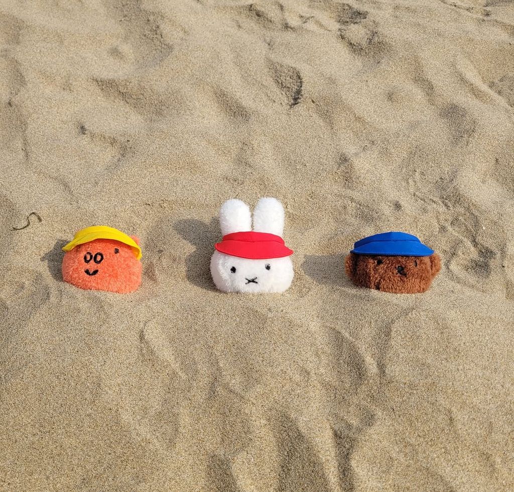 image_5949E045-15AA-435D-9A54-7D7A71C60541_1766825445