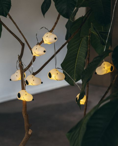 image_D718B53A-BB5D-4860-960E-08FF14BDA19A_1767105630