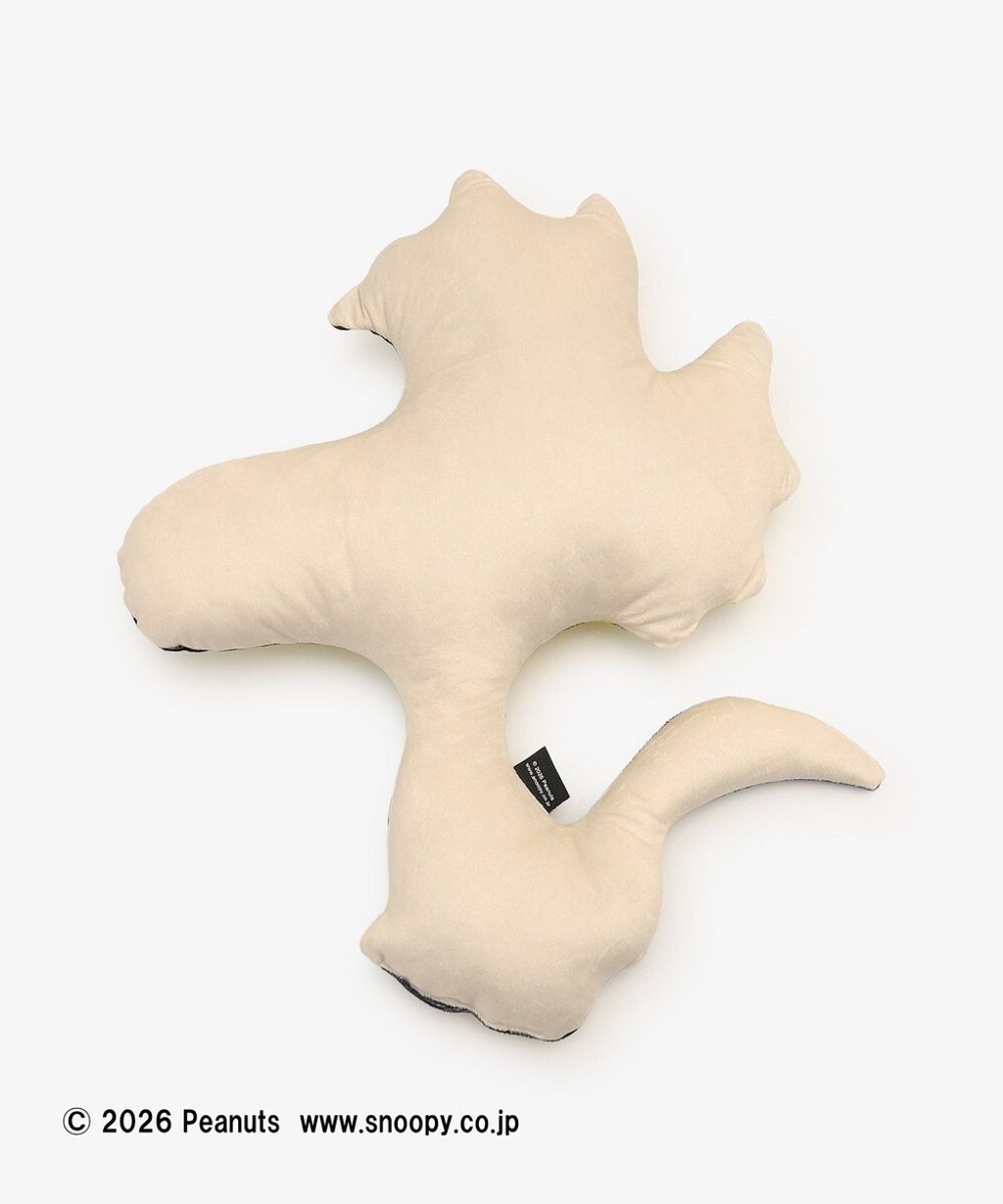 image_4180DE3E-4CE4-4769-A543-9CEA58838297_1767349505