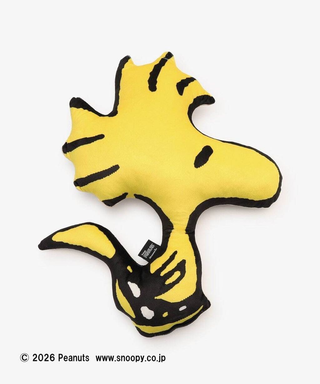 image_D3D5AB52-6847-4A4E-96C2-504DD521AC3A_1767349505