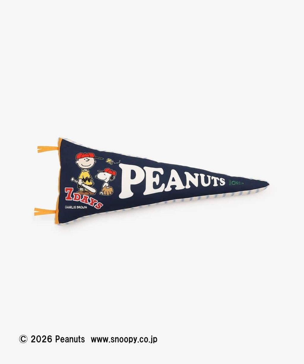 image_2DEBFA72-F569-424B-8E29-EAE38D86C501_1767349575