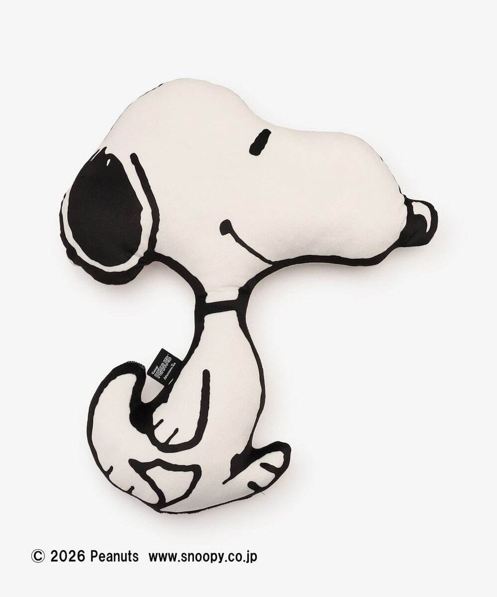 image_512496A7-1588-4ECE-8055-6872073CEA6D_1767349575