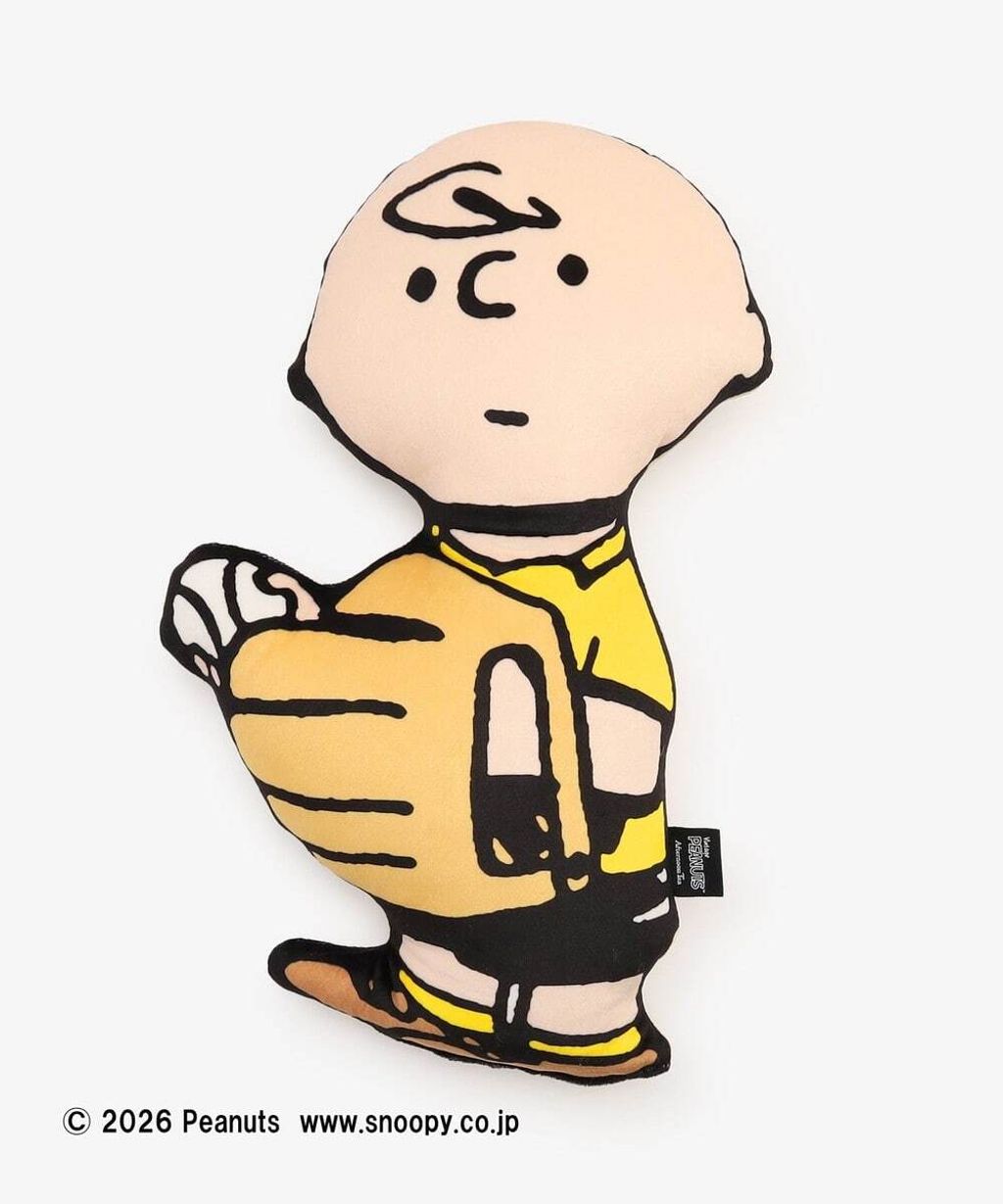 image_EB98A7A4-97F6-495B-9AD7-BD72017B61BA_1767349575