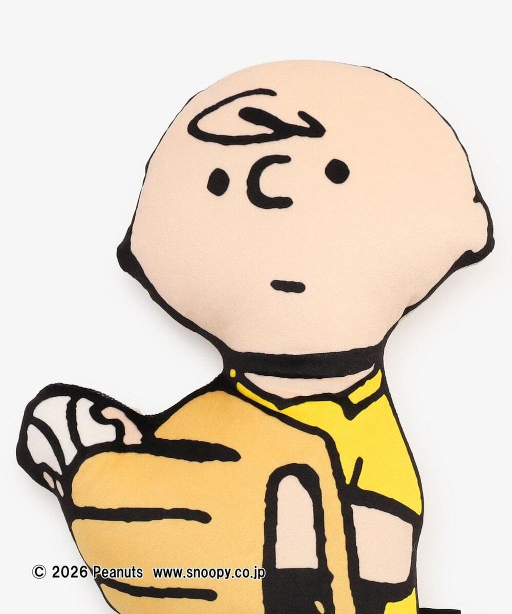 image_BA966BBB-2E41-4AB1-BAA2-5C43C42BF0AF_1767349575