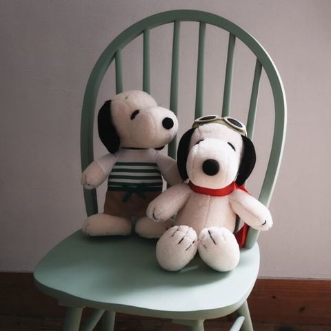 image_36AF698C-0EA7-4DE8-9166-AD3C38C2C3DD_1767349685