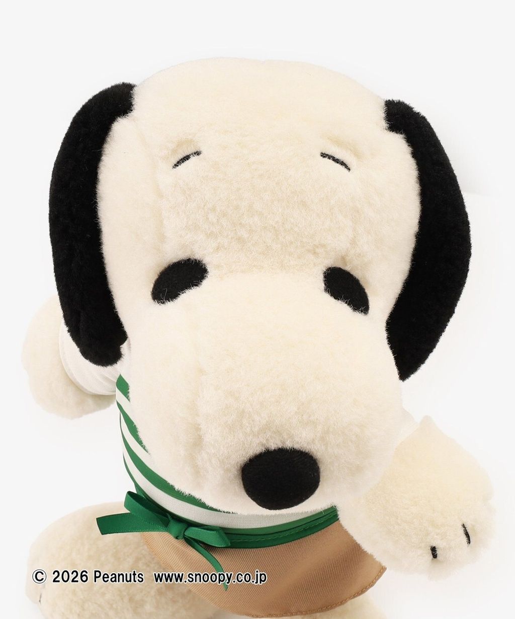 image_CFE042A9-98C8-46F5-94EB-F577FEB3AD68_1767349685