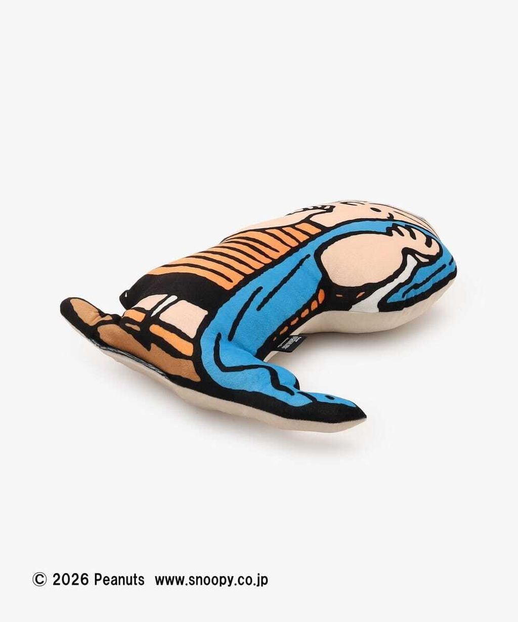 image_C8DCDEB8-6B70-41C7-9B9C-E33D213B3C6D_1767349875