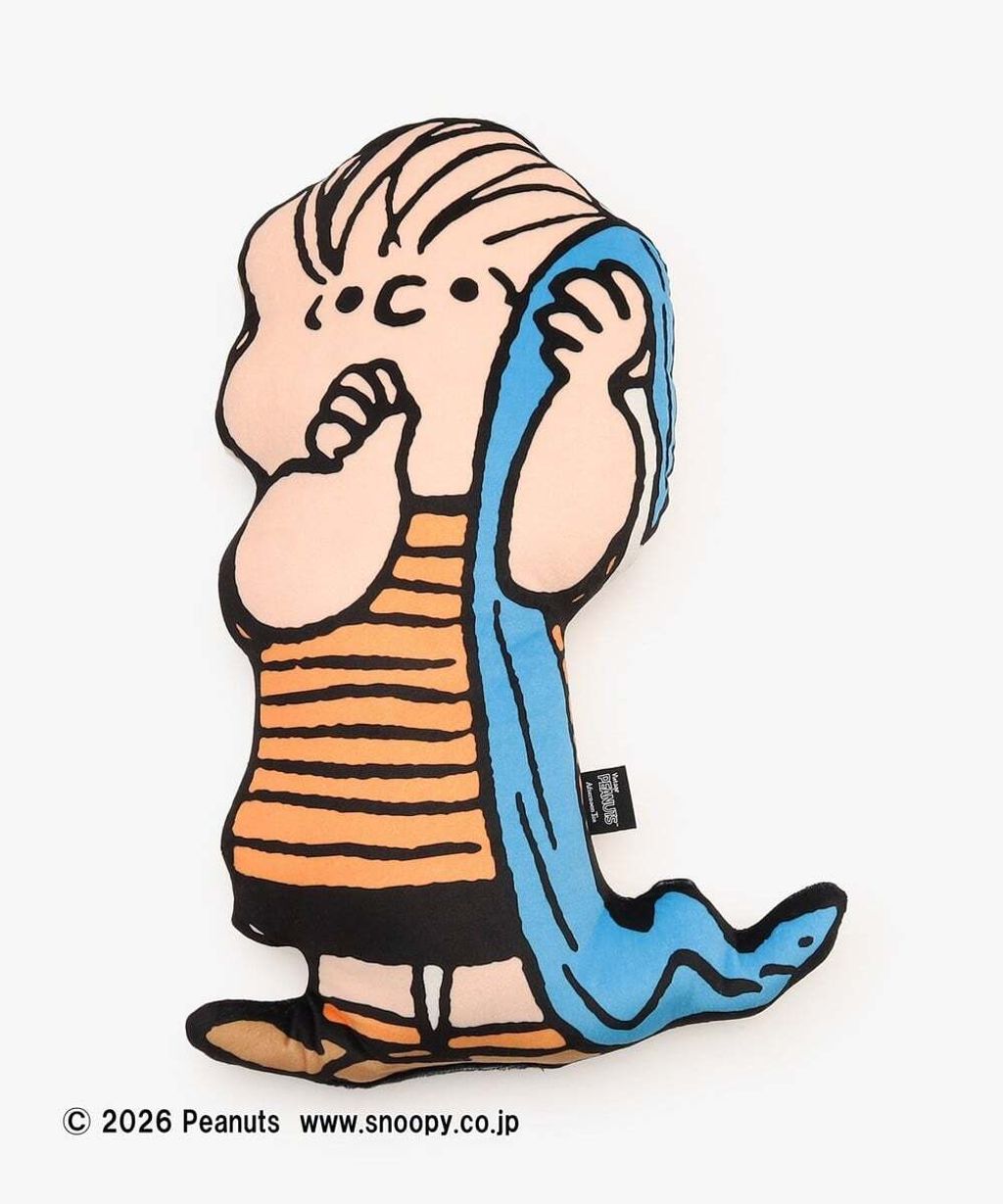 image_2F7941E5-5637-4366-A02D-AF663EBC65DD_1767349875