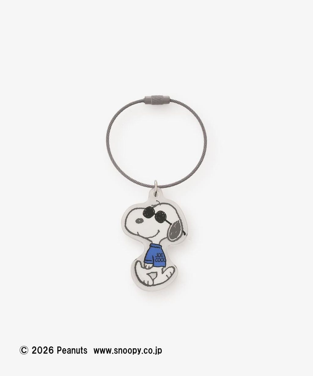 image_A7528793-2C78-4CD7-B368-B06488D46098_1767360264