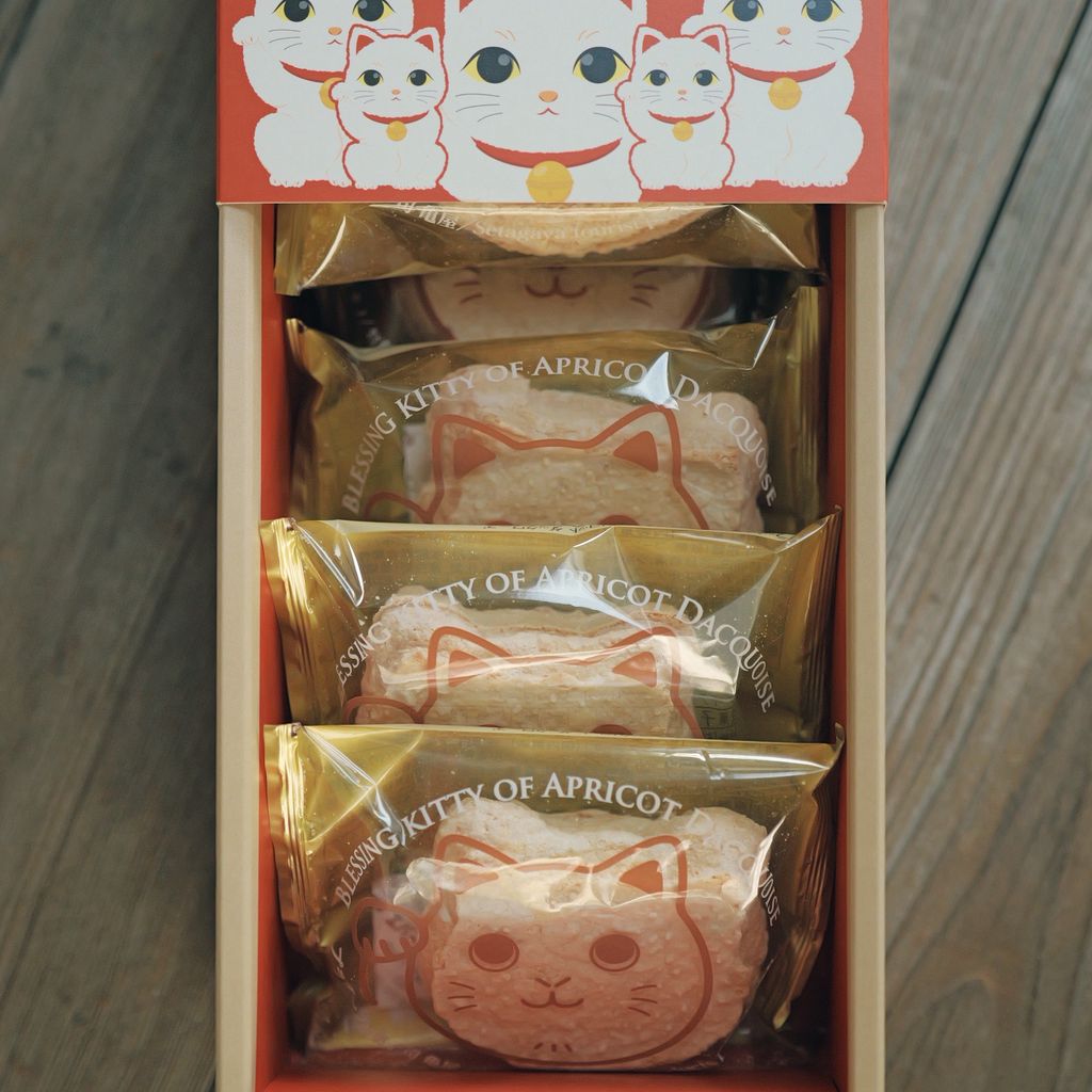 image_EE770945-A3E4-4790-9723-90C3DF13C4DB_1767422131