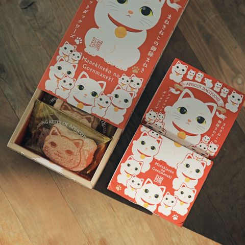 image_68817992-0FD6-49B8-ACC9-0F1055A5F7C3_1767422131