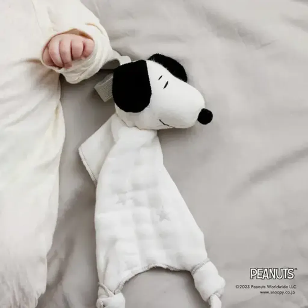 image_ED3CA937-FFCA-4FA9-980D-D6DB3D43F2F9_1768365880