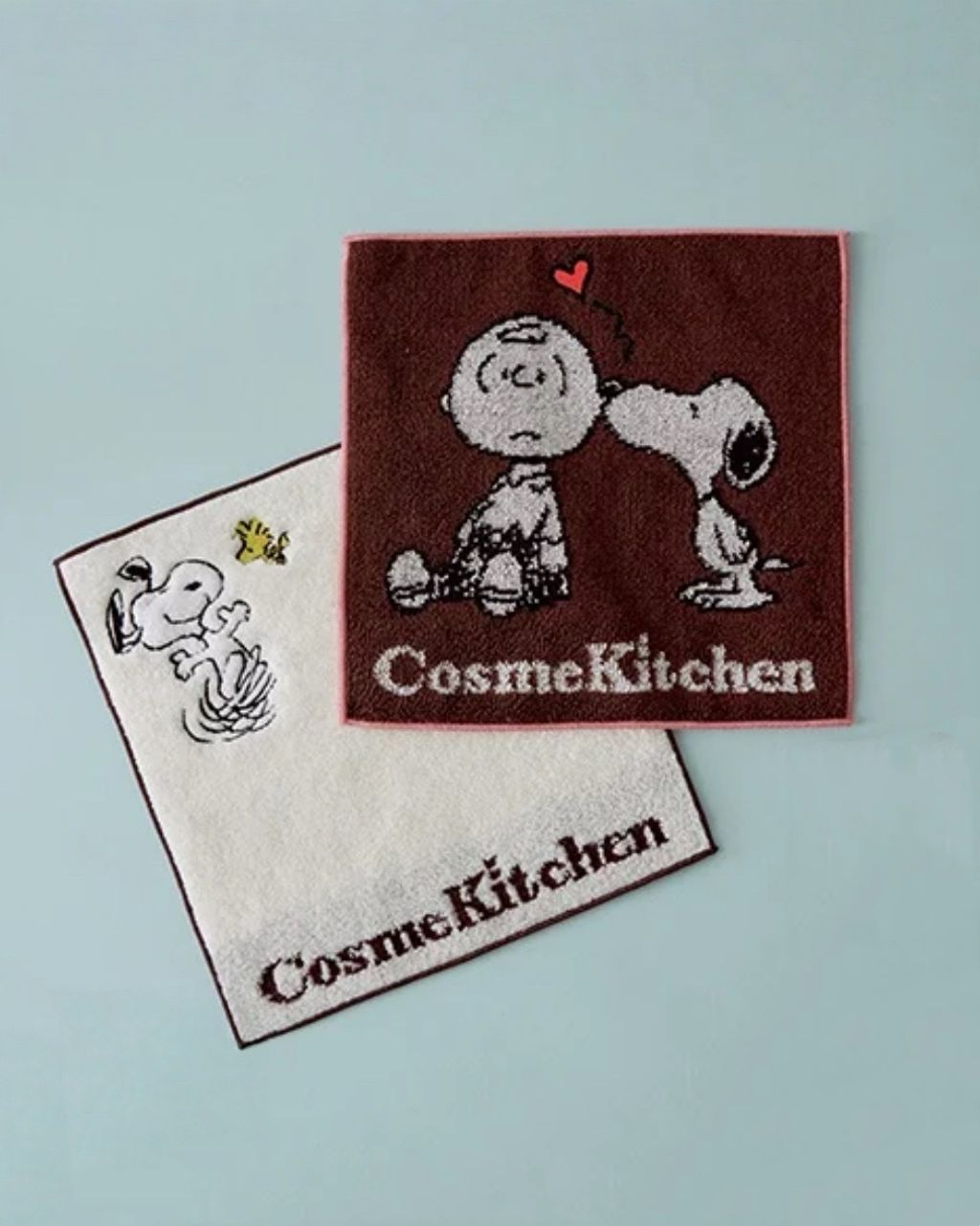 image_FF0F8721-85B0-4DDD-B68A-1178984E3EFC_1768920356