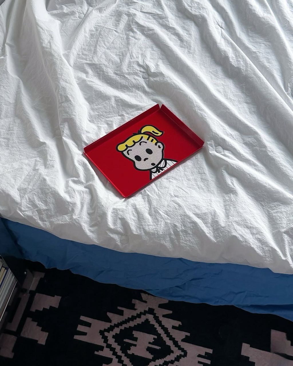 image_E4CF2BEF-16A7-4344-BE63-D03EA72B5F83_1769089747