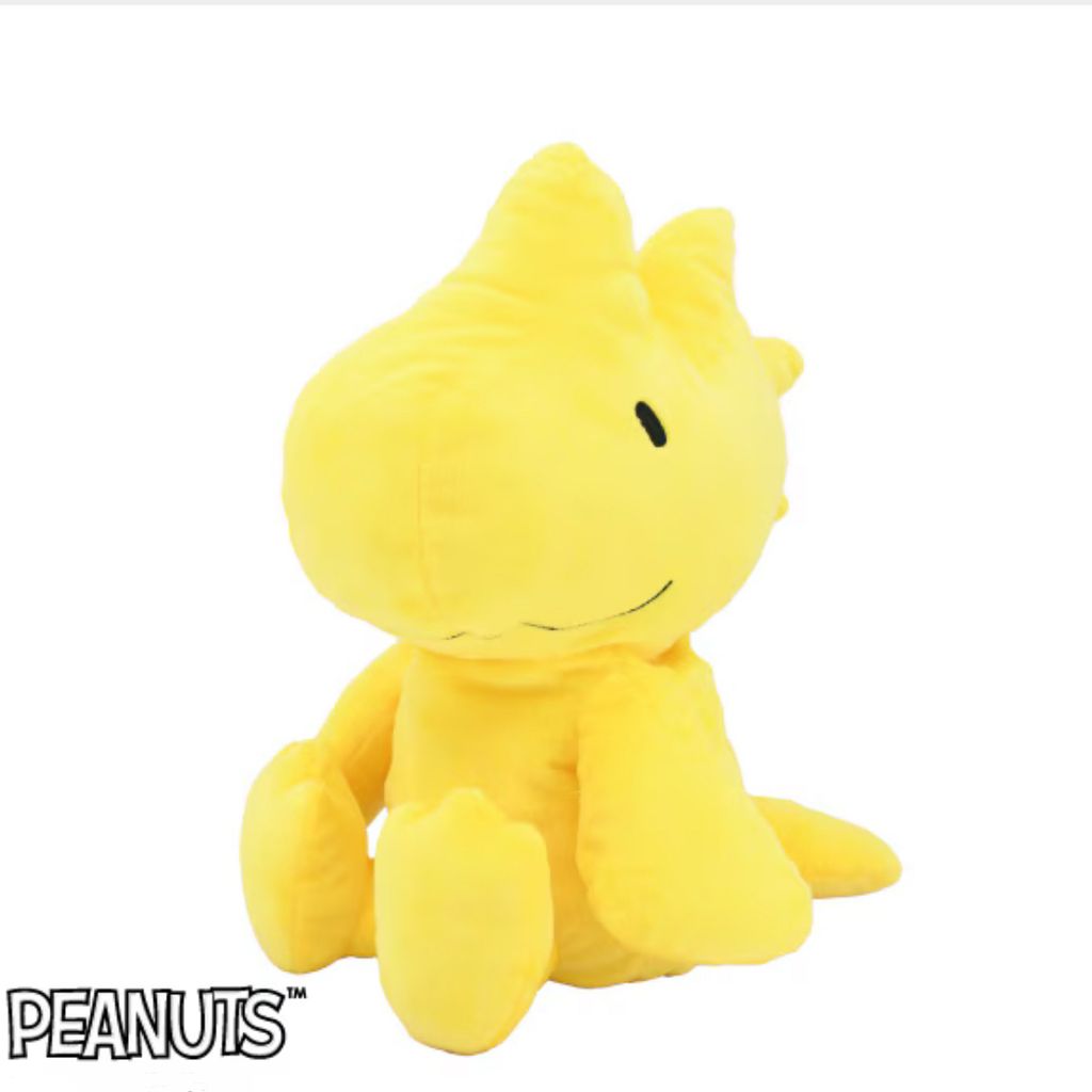 image_763FAAAE-BB1D-4B00-AC56-6FEF0E13DEEE_1770712308