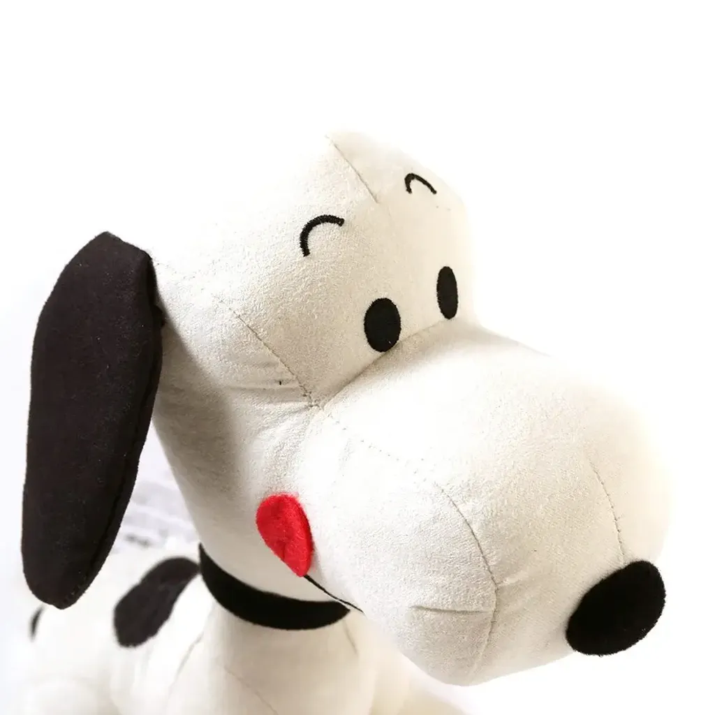 image_47F7000C-99FE-46FD-86A1-1026F53A2103_1771394852