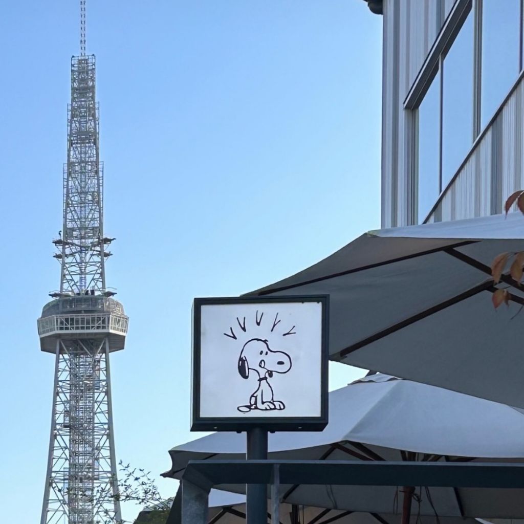 image_38DB13E0-64BB-41C3-AC4C-784557095F0B_1771394852