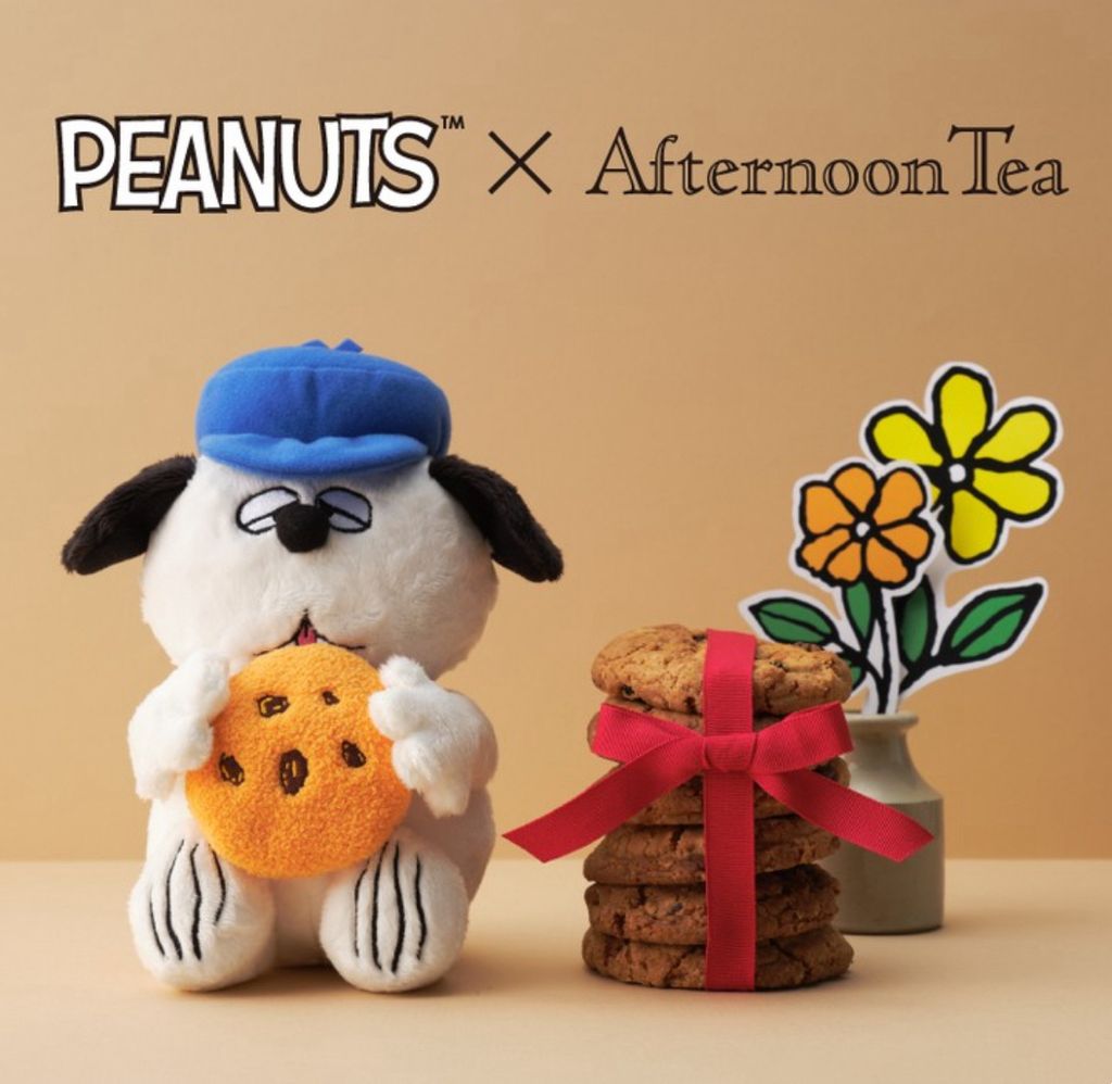 image_27D2A229-5648-451F-941C-0EC715806A6B_1771575890