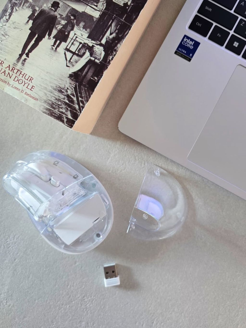 image_0591939E-ECBE-4752-ABF1-BE38B70124A5_1771600048