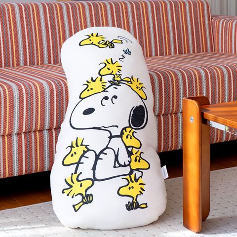 image_58912A16-2CA3-4D63-B726-C7B26453855B_1772012989