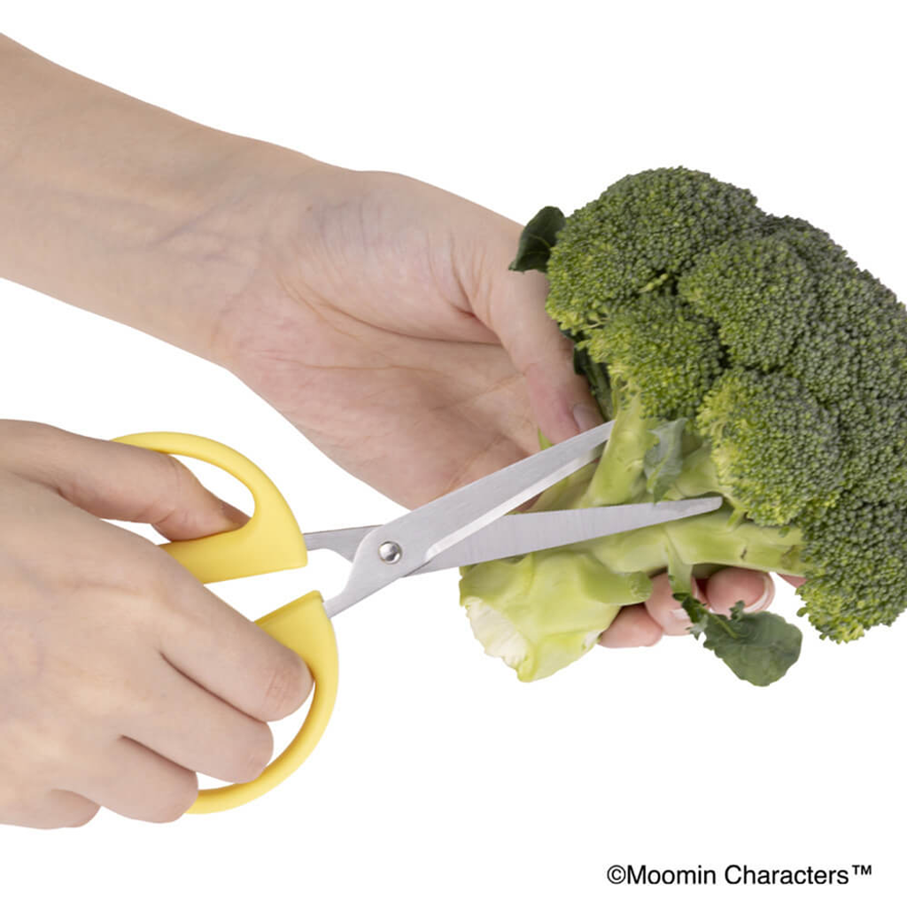 image_D7D41C6C-0287-45FF-B461-AD04456F96F5_1772444700