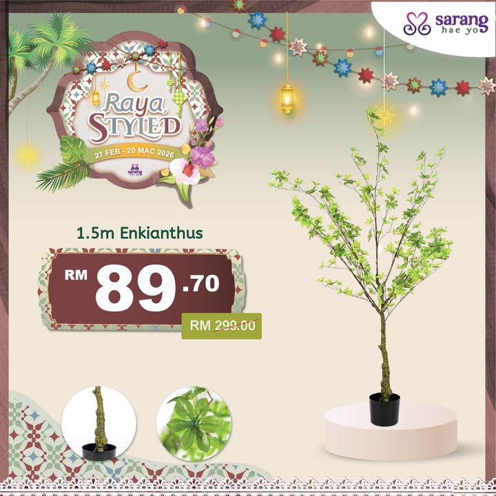 wina pokok online 2_-03