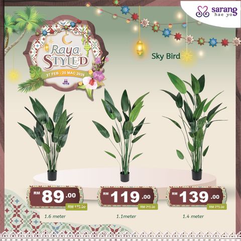 wina pokok online 2_-05