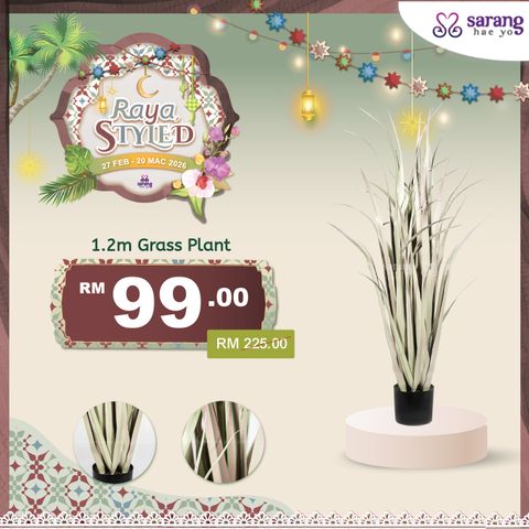 wina pokok online 2_-04