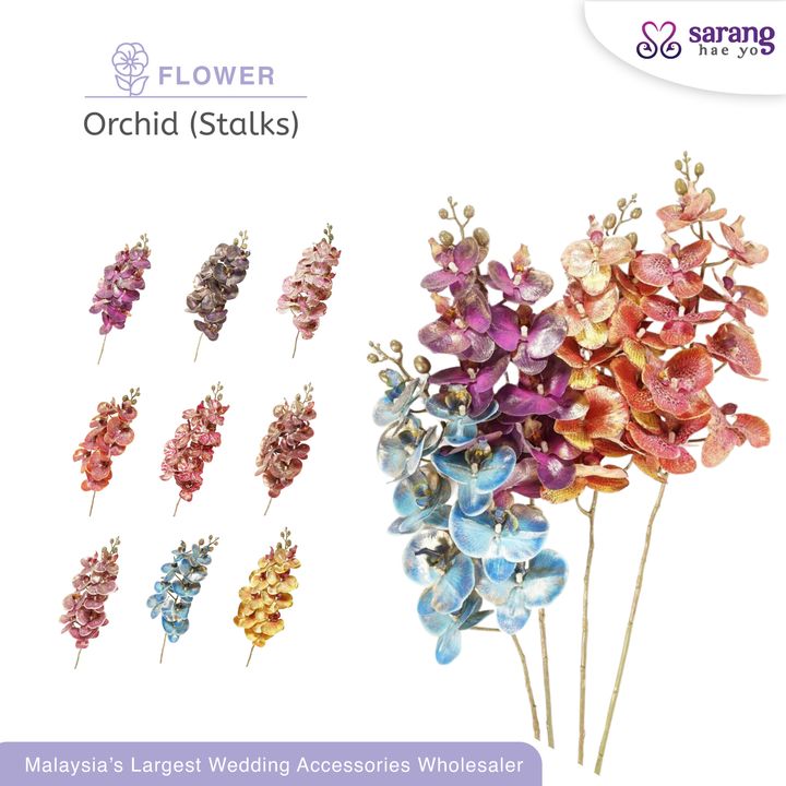 orkid1_
