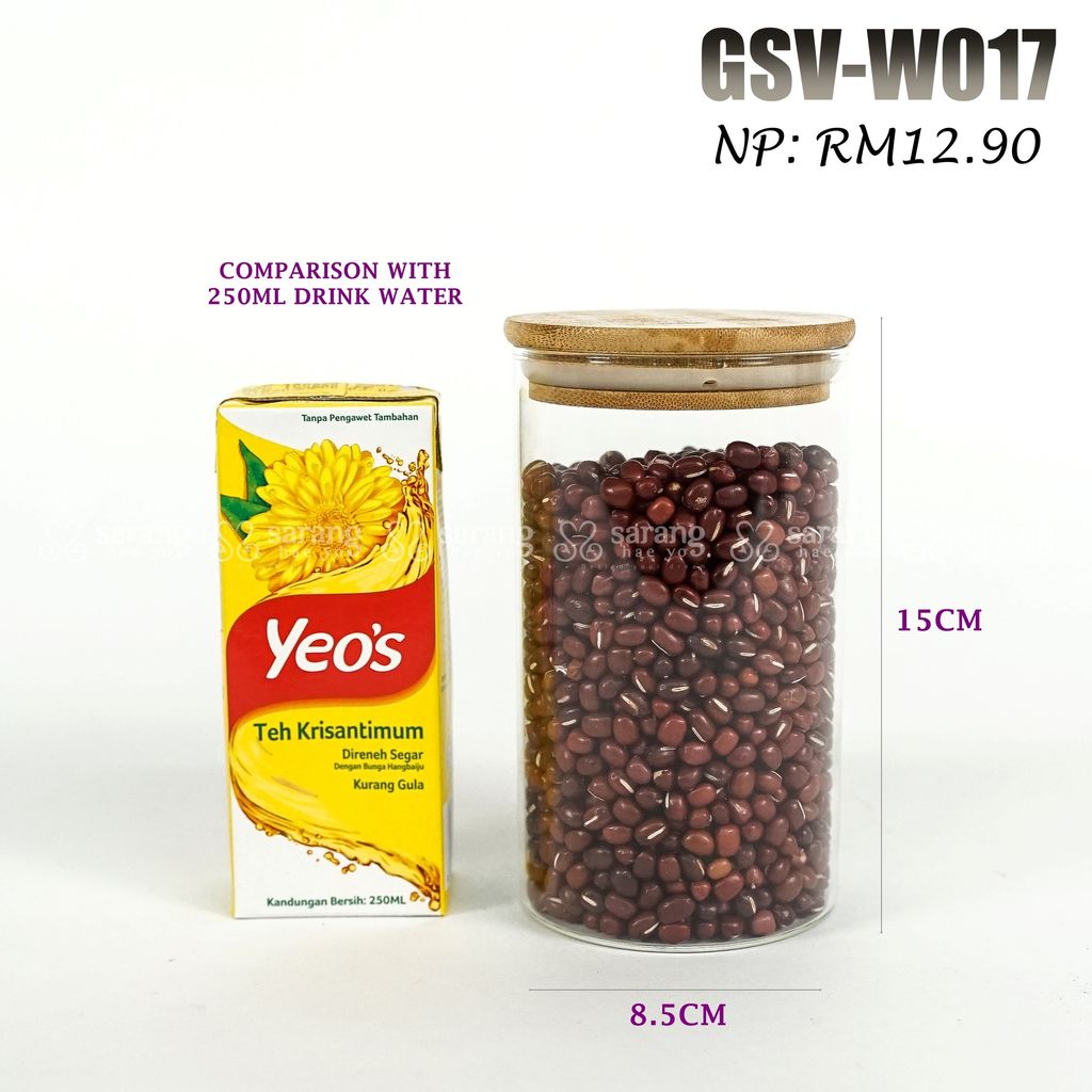 GSV-W017
