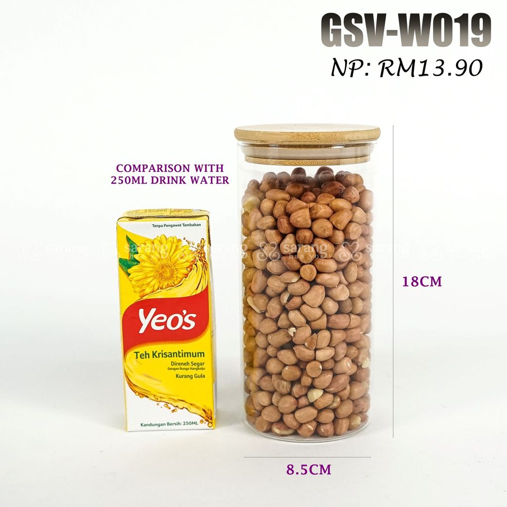 GSV-W019