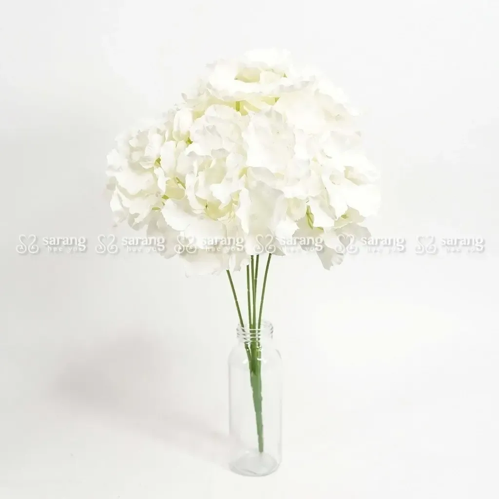 sg-11134201-7rdwt-ly0ijec8otm12d