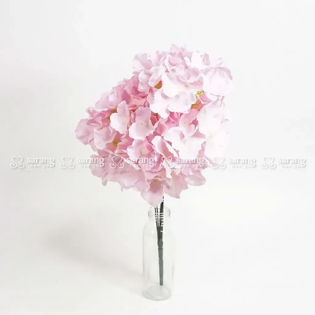 sg-11134201-7rdx8-ly0ijesvz1cv54