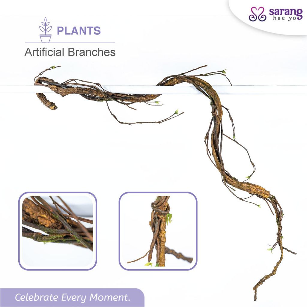 BRANCHES