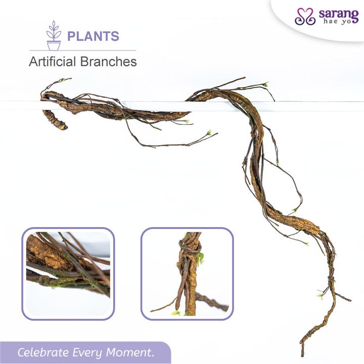 BRANCHES