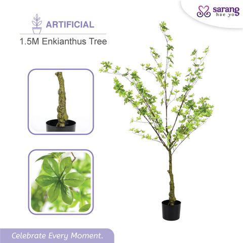 ENKIANTHUS-TREE