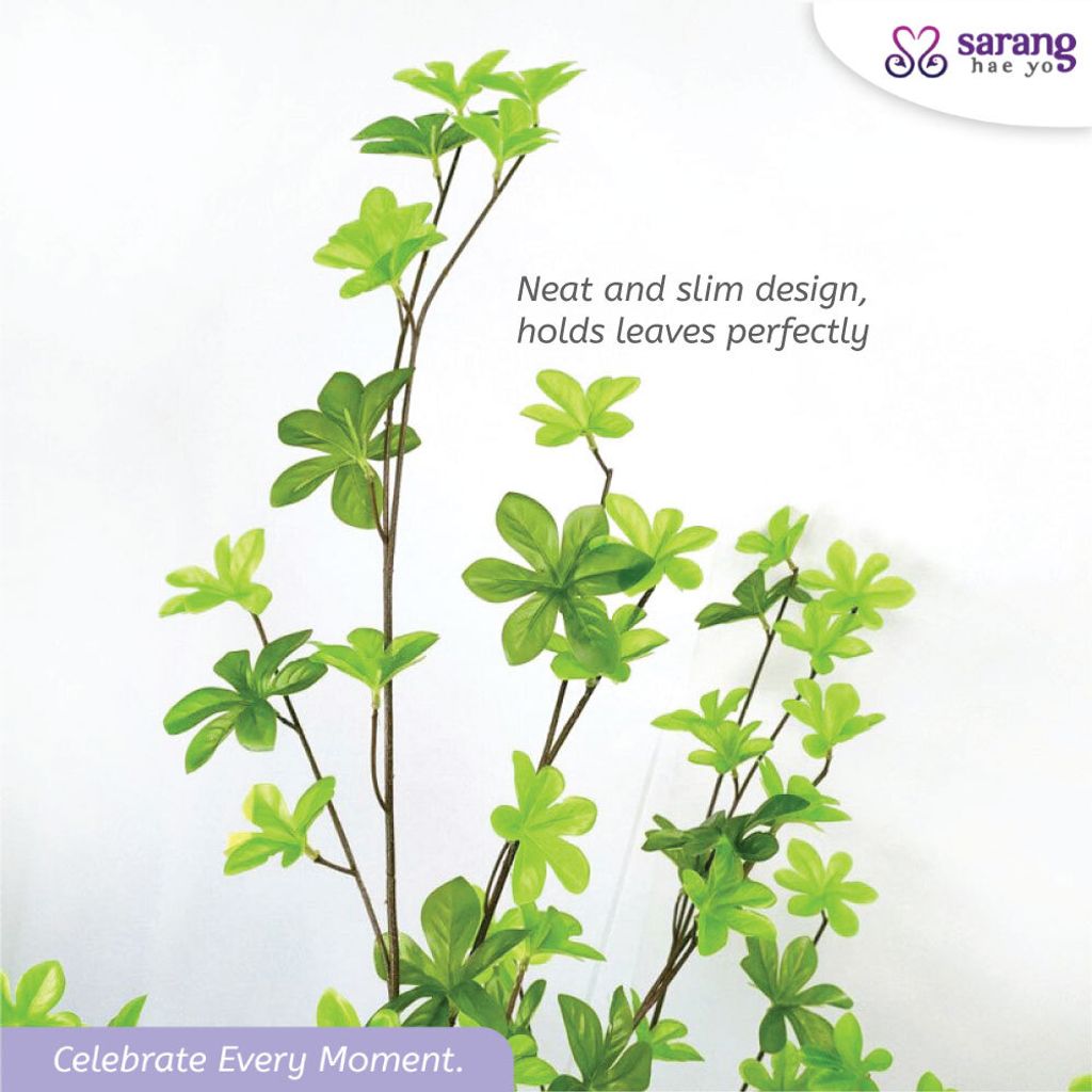 ENKIANTHUS-TREE-2